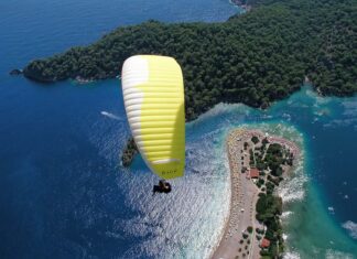 Taylor Swift Wins 2016 Grammys Album of the Year